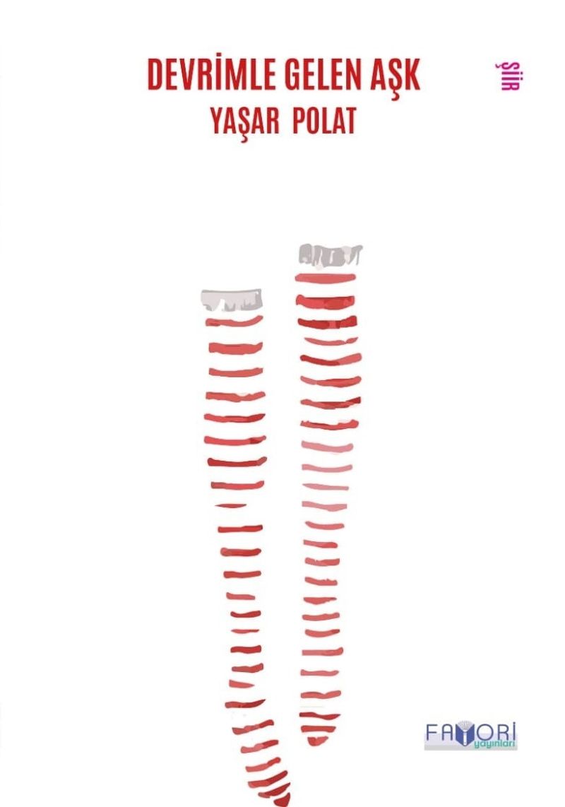 Devrimle Gelen Aşk kitap kapağı