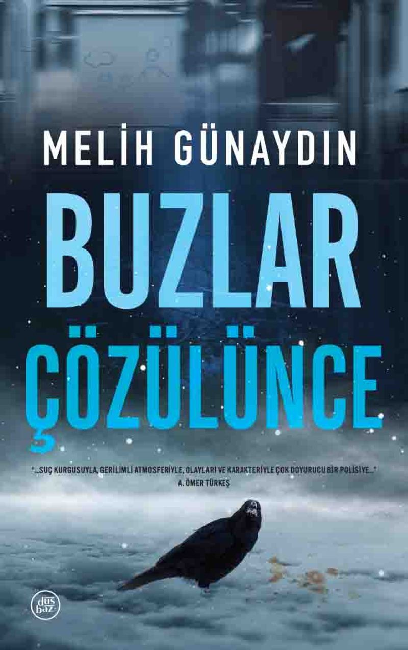 Buzlar Çözülünce kitap kapağı