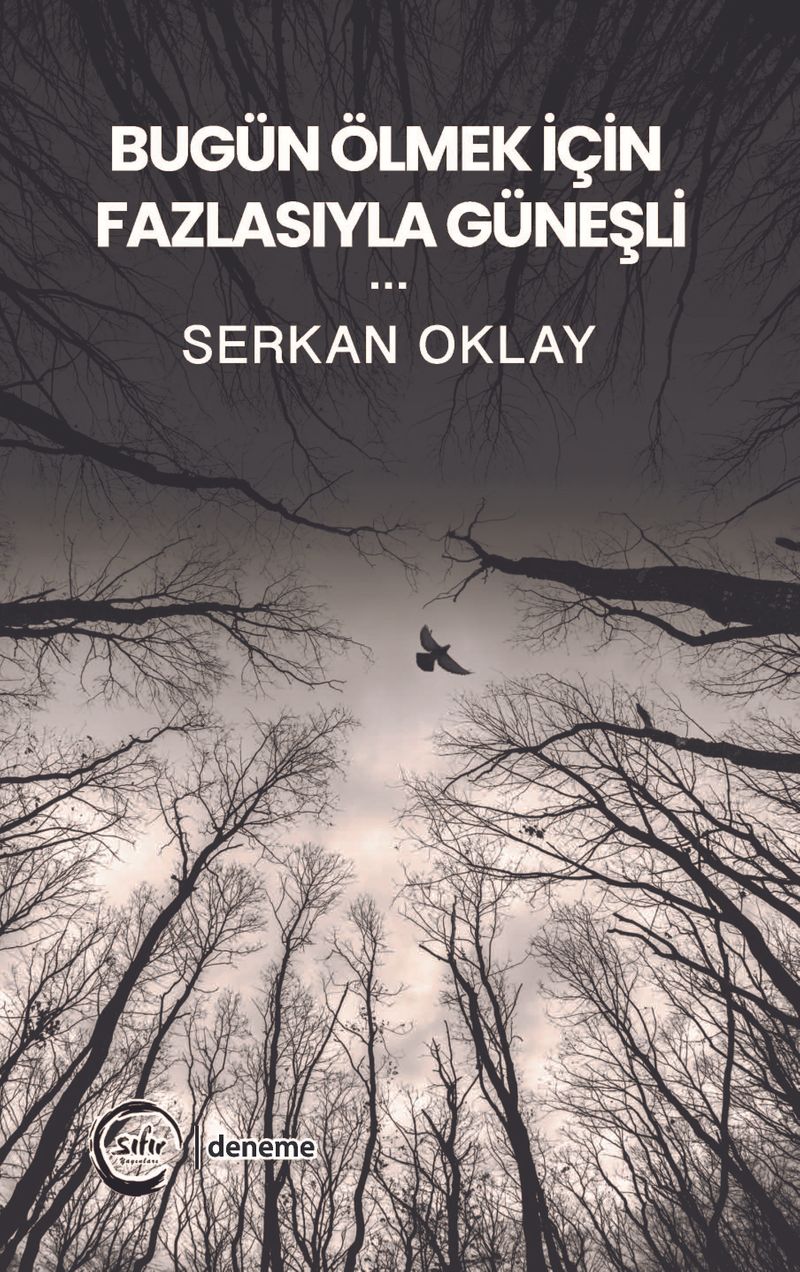Bugün Ölmek İçin Fazlasıyla Güneşli kitap kapağı