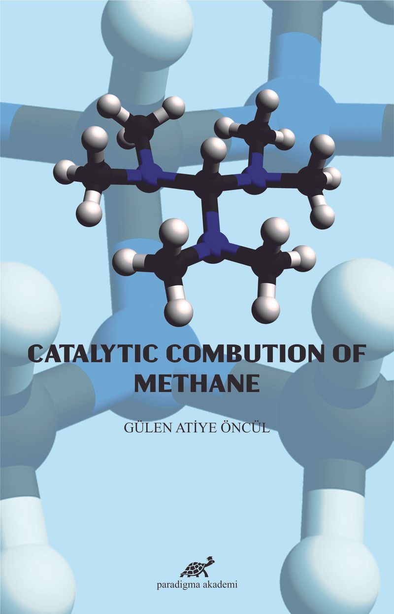 Catalytic Combution Of Methane kitap kapağı