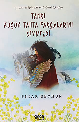 Tanrı Küçük Tahta Parçalarını Sevmezdi kitap kapağı
