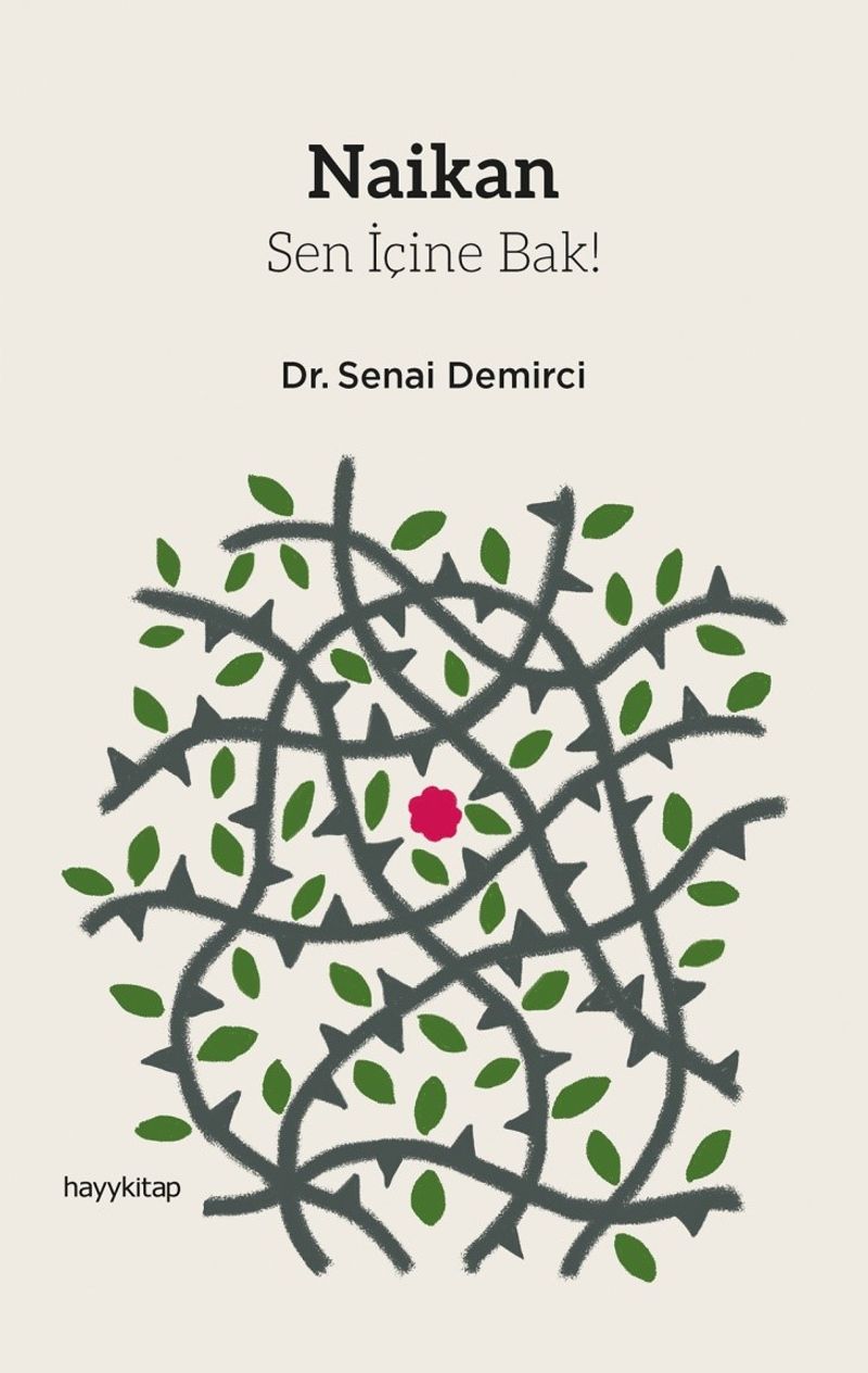 Naikan Sen İçine Bak! kitap kapağı