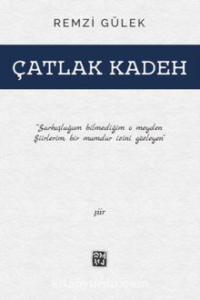 Çatlak Kadeh kitap kapağı