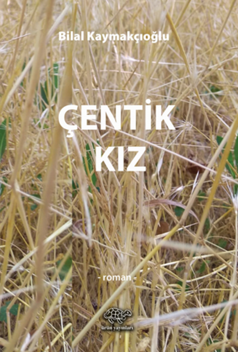 Çentik Kız kitap kapağı
