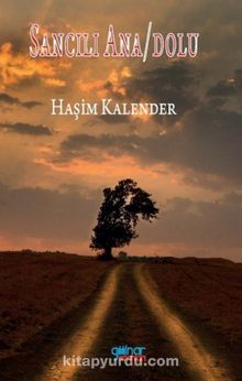 Sancılı Ana/Dolu kitap kapağı