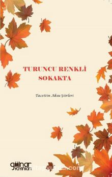 Turuncu Renkli Sokakta kitap kapağı
