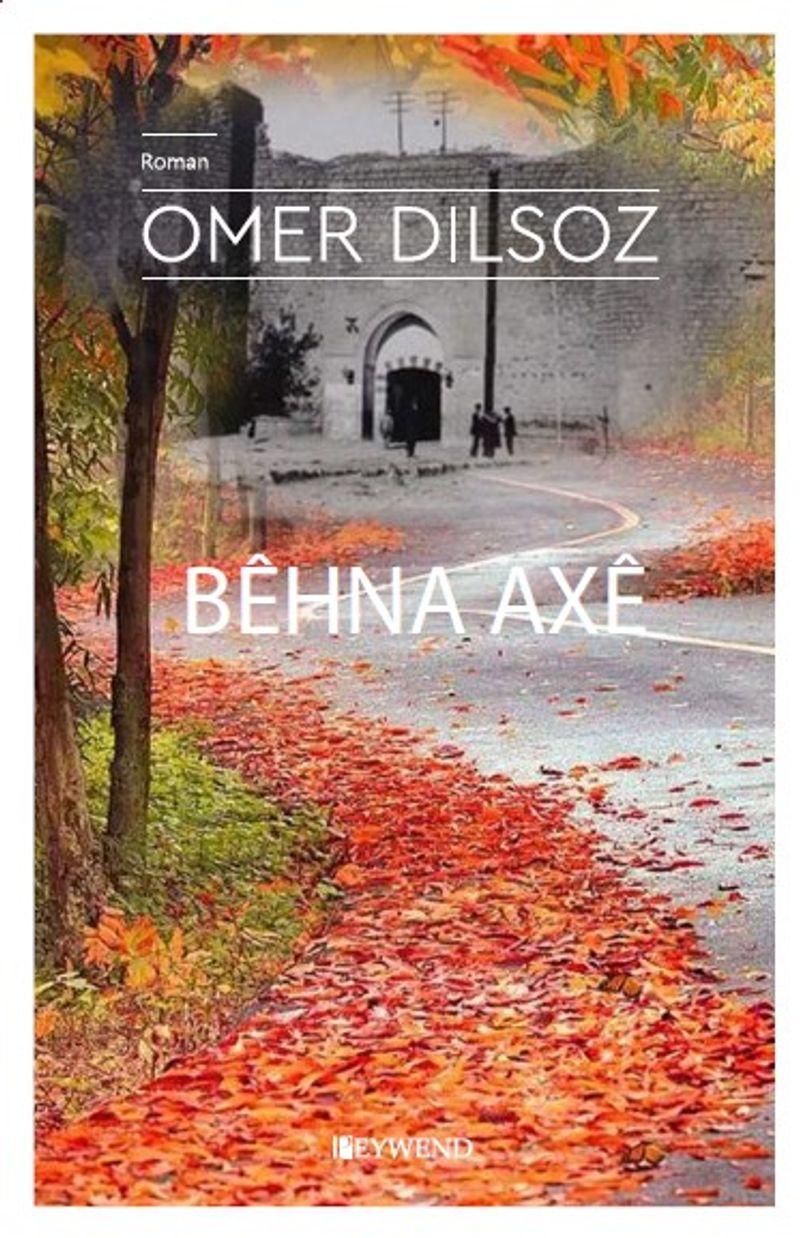 Behna Axe kitap kapağı