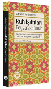 Ruh Işıltıları & Feyzü’s-Sünûh kitap kapağı