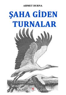 Şaha Giden Turnalar kitap kapağı