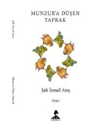 Munzur’a Düşen Yaprak kitap kapağı