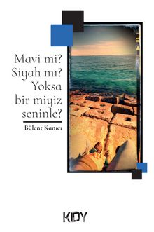 Mavi mi? Siyah mı? Yoksa Bir Miyiz Seninle? kitap kapağı