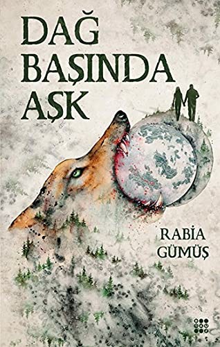 Dağ Başında Aşk 1 kitap kapağı