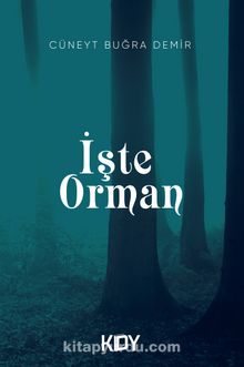İşte Orman kitap kapağı