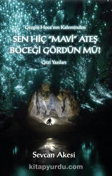 Sen Hiç Mavi Ateş Böceği Gördün mü? kitap kapağı