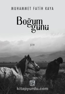 Boğum Günü kitap kapağı