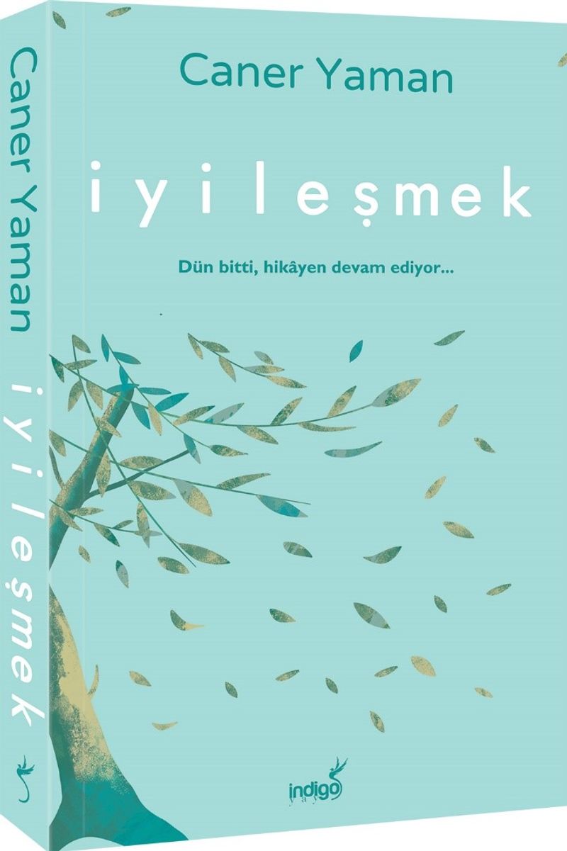 İyileşmek kitap kapağı