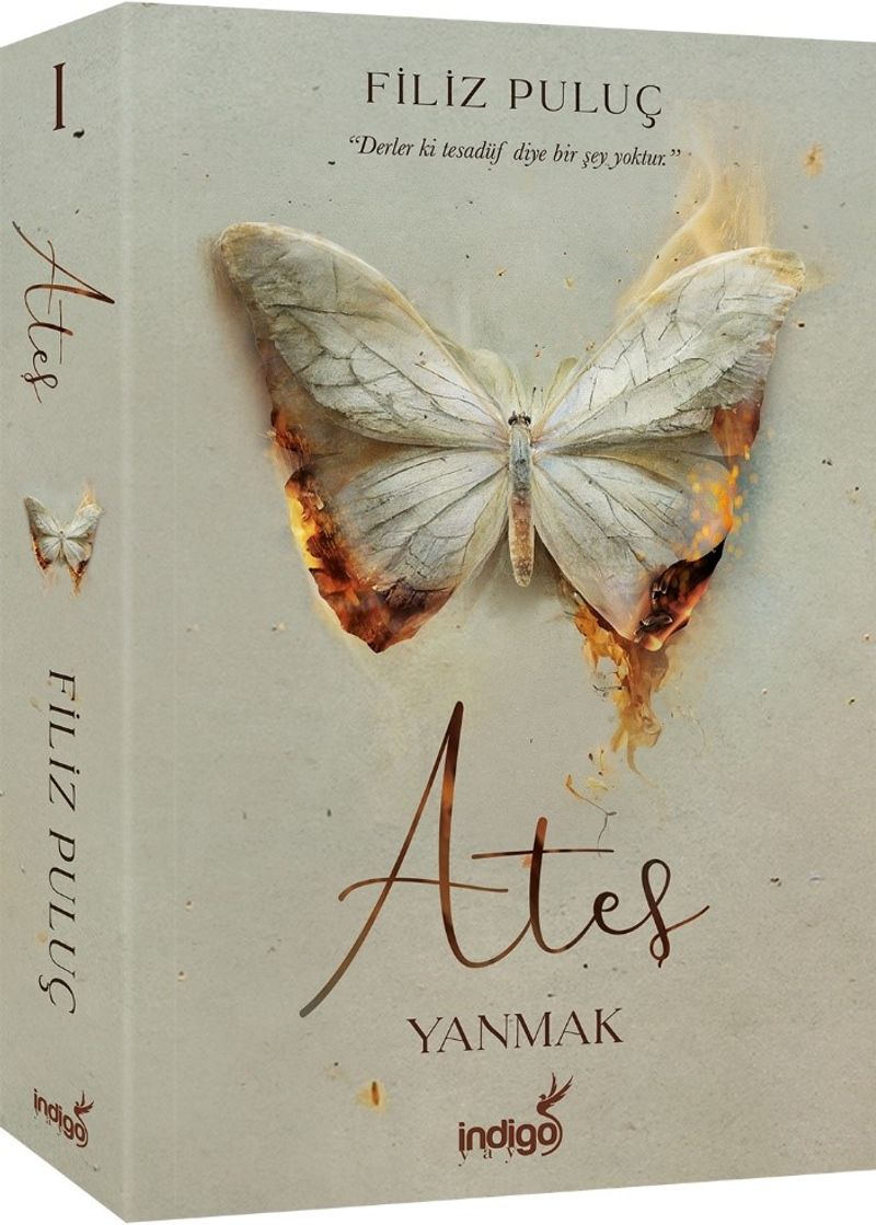 Ateş / Yanmak (Karton Kapak) kitap kapağı