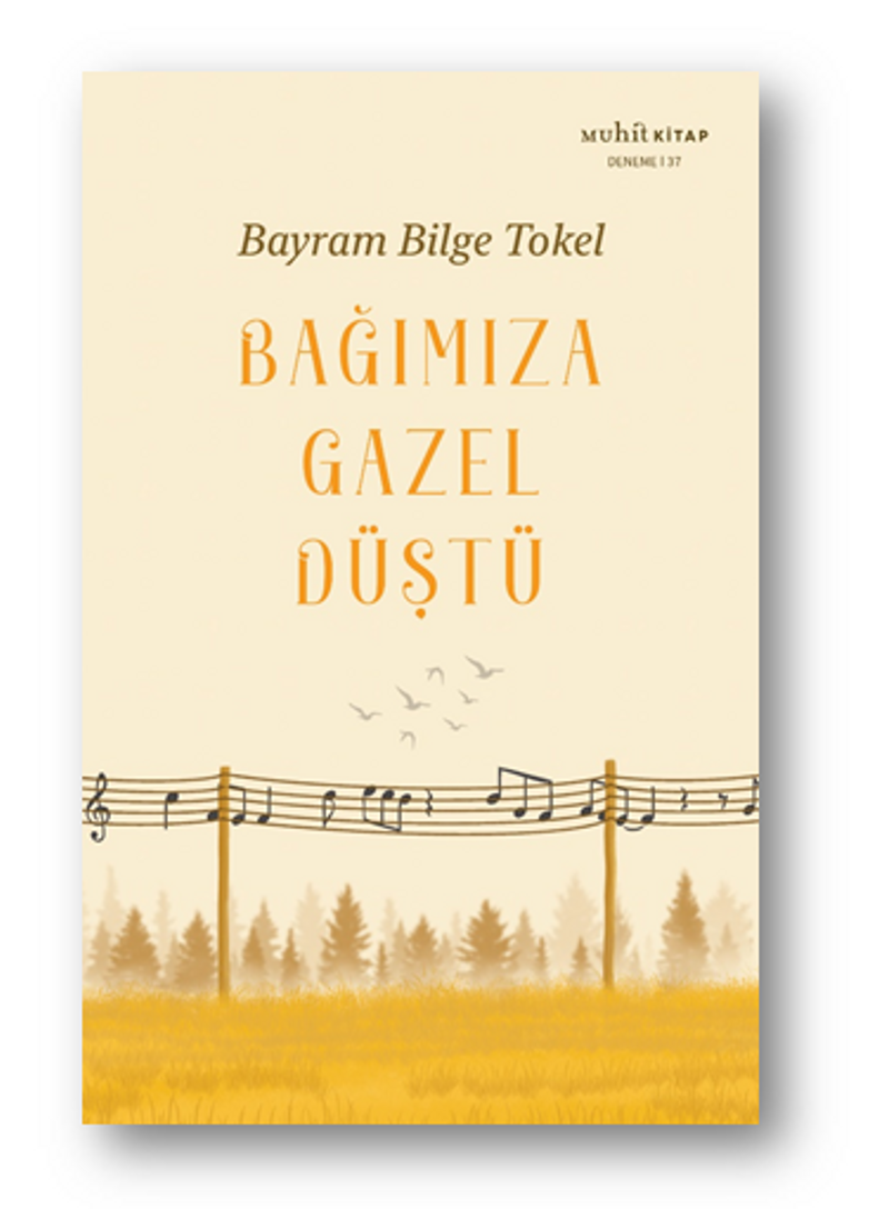 Bağımıza Gazel Düştü kitap kapağı