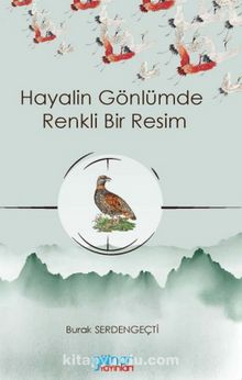 Hayalin Gönlümde Renkli Bir Resim kitap kapağı