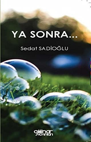 Ya Sonra... kitap kapağı
