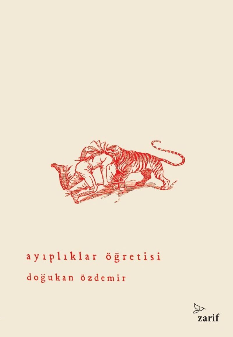 Ayıplıklar Öğretisi kitap kapağı