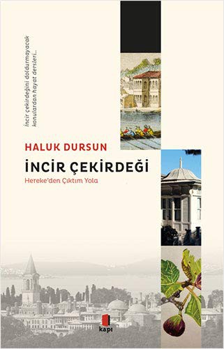 İncir Çekirdeği kitap kapağı