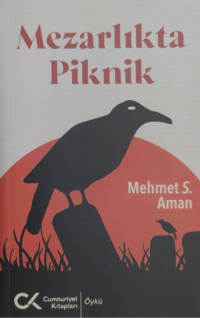 Mezarlıkta Piknik kitap kapağı