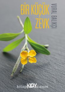 Bir Küçük Zevk kitap kapağı