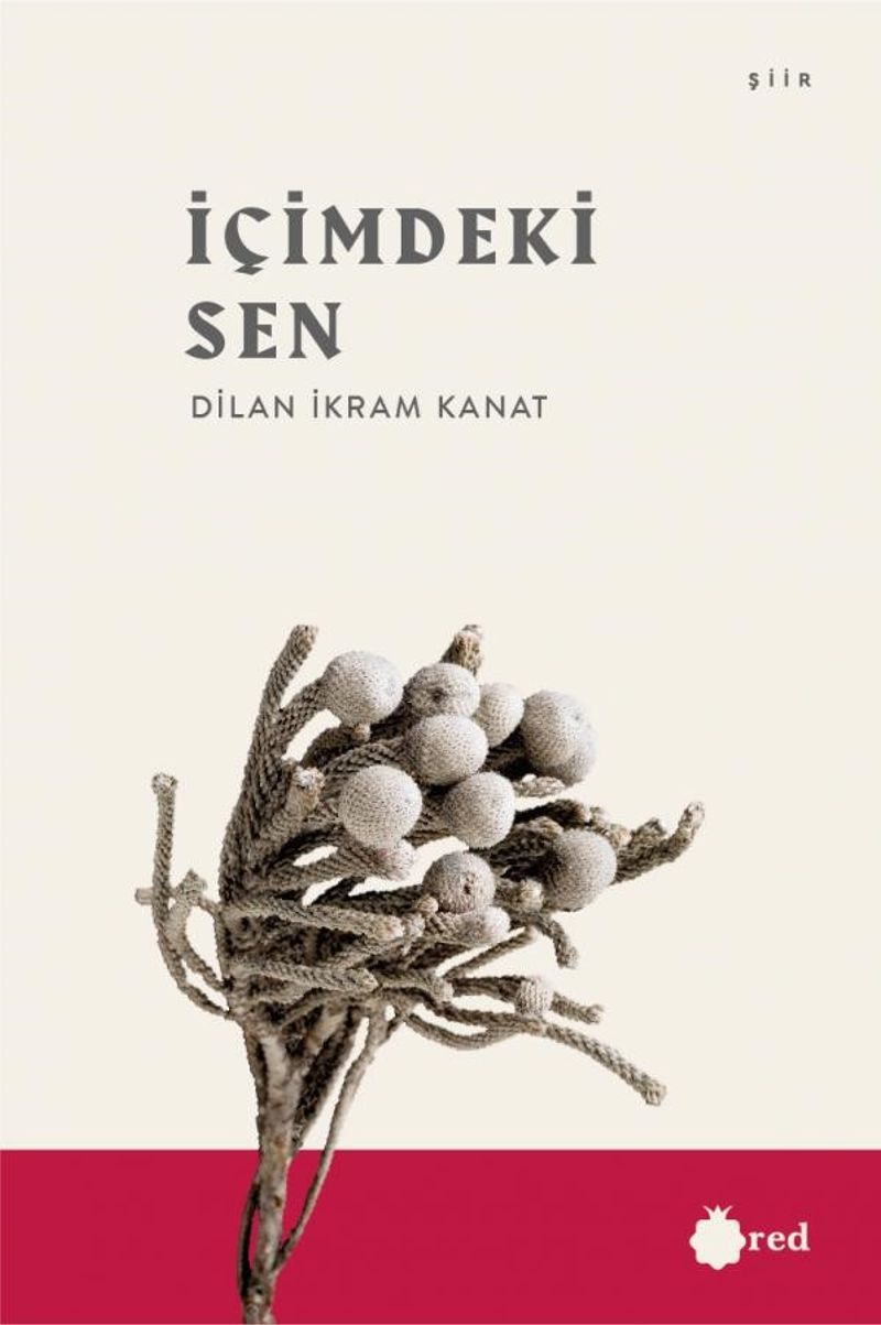İçimdeki Sen kitap kapağı