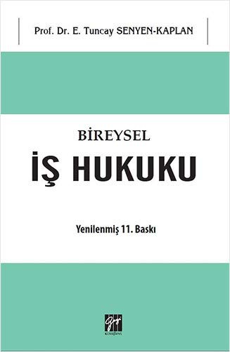 Bireysel İş Hukuku kitap kapağı