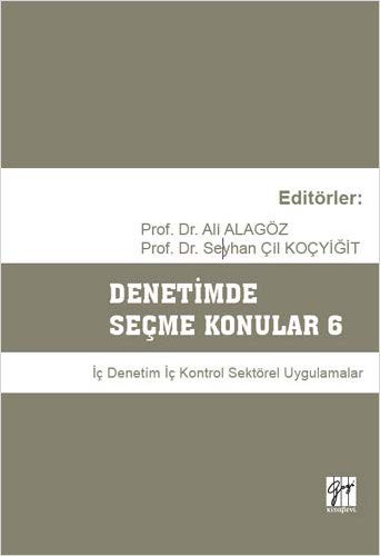 Denetimde Seçme Konular 6 kitap kapağı