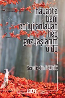 Hayatta Beni En İyi Anlayan Hep Gözyaşlarım Oldu kitap kapağı