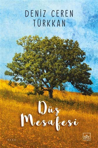 Düş Mesafesi kitap kapağı