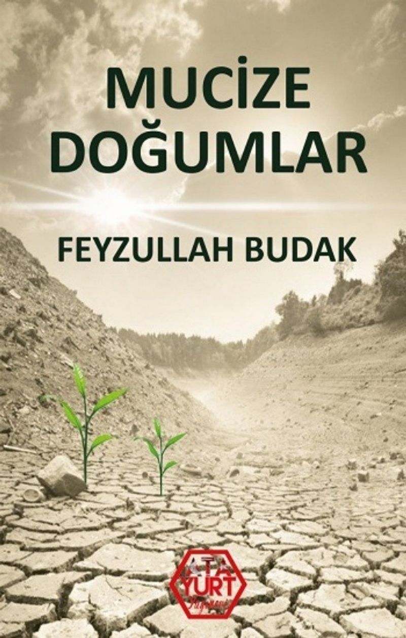 Mucize Doğumlar kitap kapağı