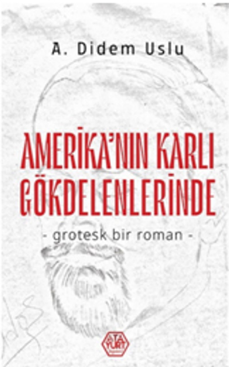 Amerika`nın Karlı Gökdelenlerinde kitap kapağı