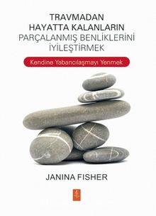 Travmadan Hayatta Kalanların Parçalanmış Benliklerini İyileştirmek kitap kapağı