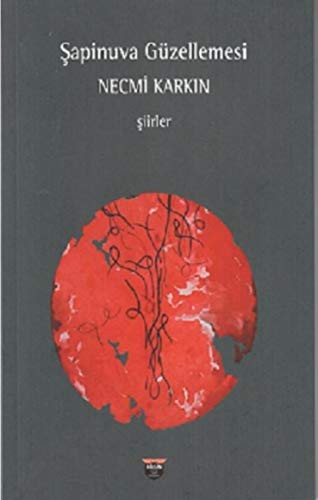 Şapinuva Güzellemesi kitap kapağı