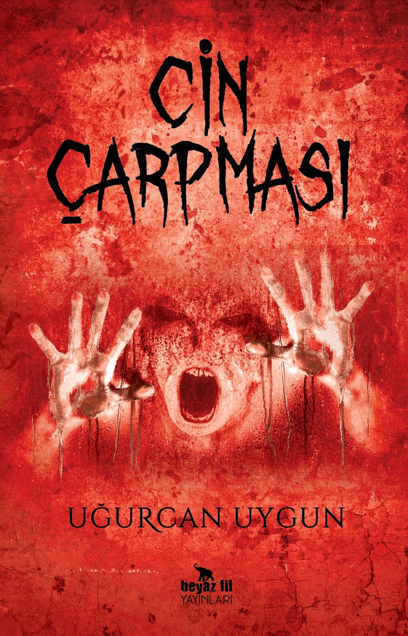 Cin Çarpması kitap kapağı