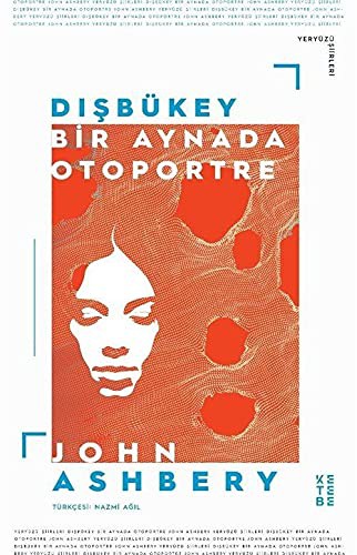 Dışbükey Bir Aynada Otoportre kitap kapağı