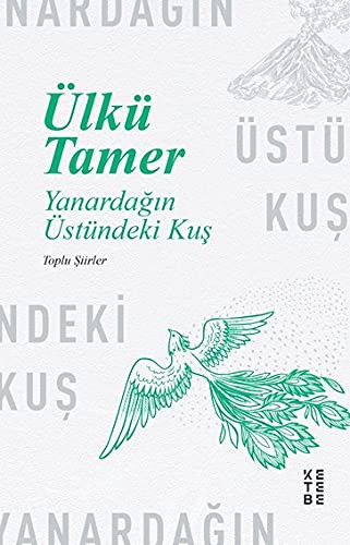 Yanardağın Üstündeki Kuş kitap kapağı