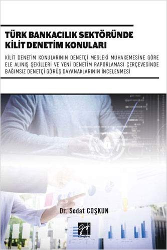 Türk Bankacılık Sektöründe Kilit Denetim Konuları kitap kapağı
