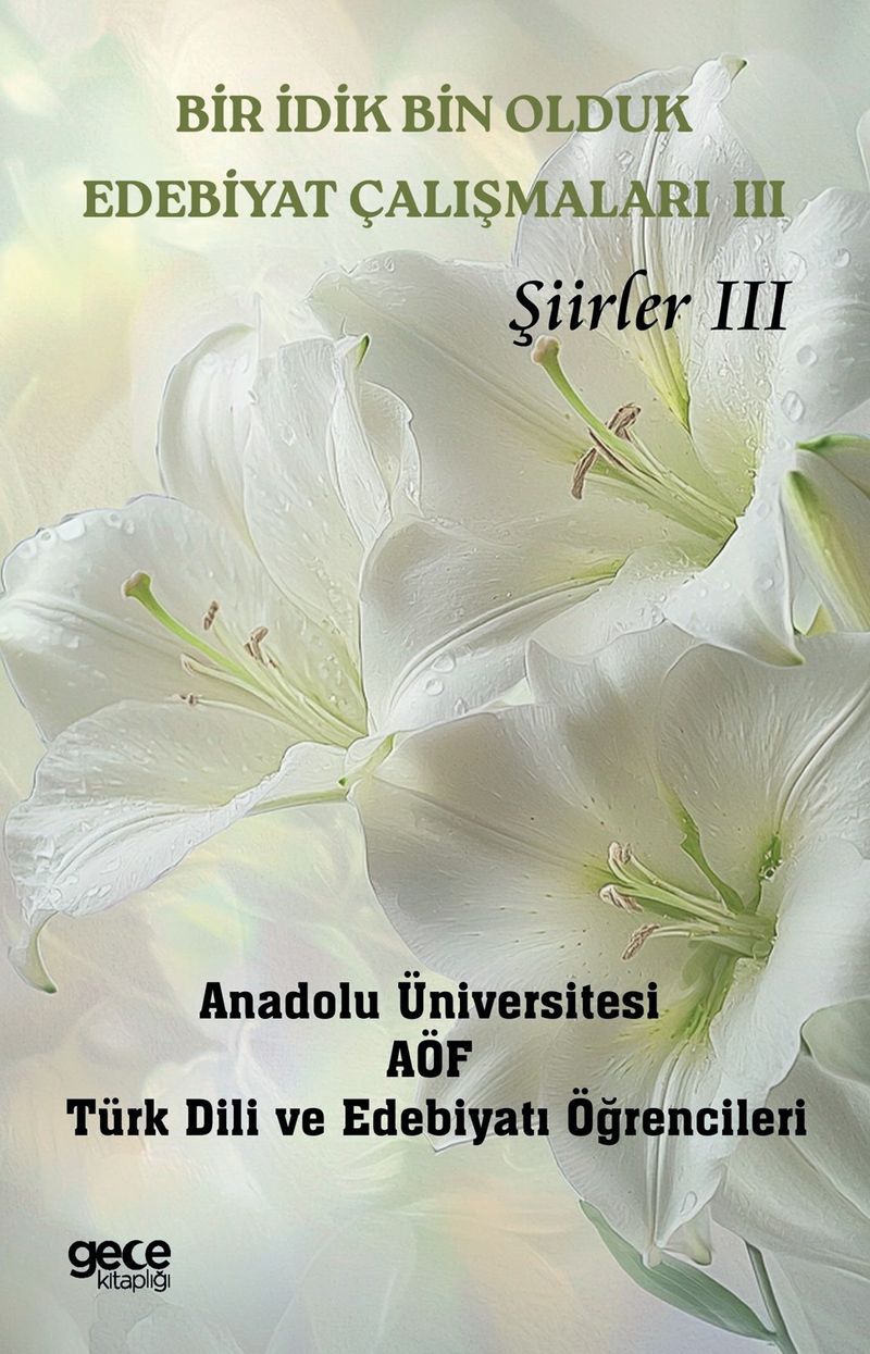 Bir İdik Bin Olduk Edebiyat Çalışmaları III Şiirler III kitap kapağı