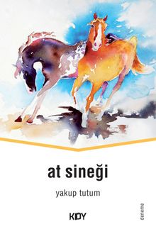 At Sineği kitap kapağı