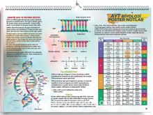 AYT Biyoloji Poster Notlar kitap kapağı