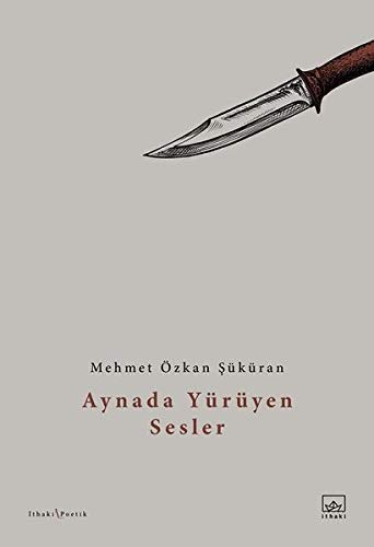 Aynada Yürüyen Sesler kitap kapağı