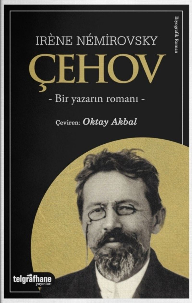 Çehov Bir Yazarın Romanı kitap kapağı