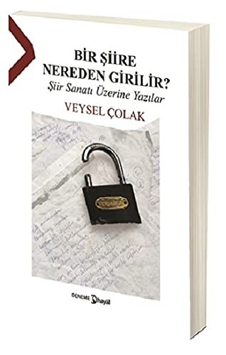 Bir Şiire Nereden Girilir? kitap kapağı