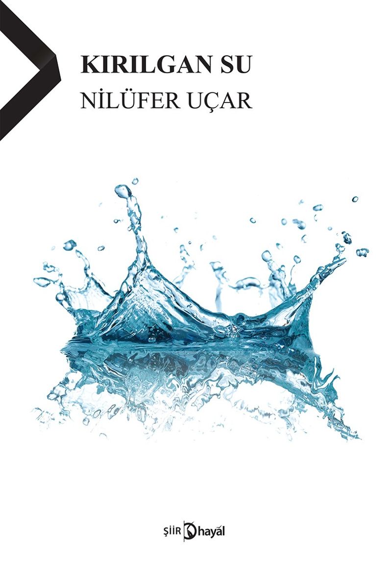 Kırılgan Su kitap kapağı