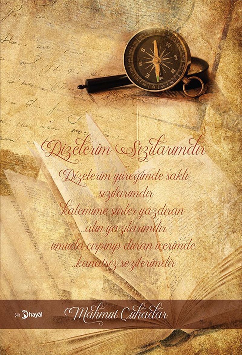 Dizelerim Sızılarımdır kitap kapağı