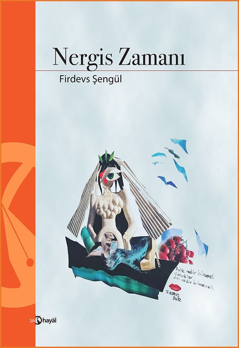 Nergis Zamanı kitap kapağı